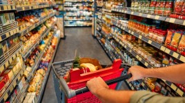 カリフォルニアのカップルは、2人のために食料品に毎月1200ドル費やしている。コストコ・ホールセール ( NASDAQ:COST ) 、グローサリー・アウトレット・ホールディング ( NASDAQ:GO ) 。