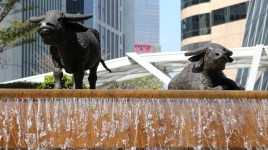 香港株、2カ月ぶり高値から下落 中国の経済・業績後退で