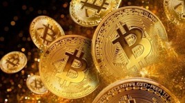 8億円相当のビットコインを誤って捨てた男、トランプ氏に助けを求める：「私は彼に訴えている