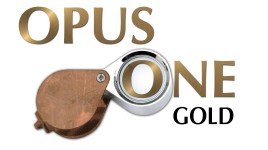 オーパス・ワン・ゴールド・コーポレーション、ストックオプションの付与を発表