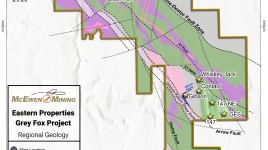 グレイ・フォックスの未来は黄金色