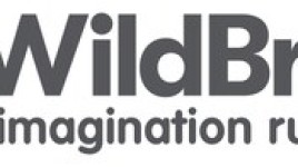 ワイルドブレイン、テレビチャンネル売却に関する最新情報を発表