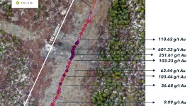 プーマ社、マッケンジー金プロジェクトで601.33g/tの金をサンプリング