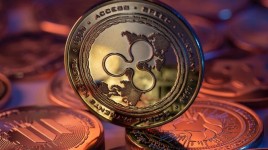 XRP、ビットコインの機関投資家上昇を抑えリテール人気銘柄に浮上：アナリストがそれぞれの歩みを紐解く
