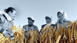 オピニオン｜中国のAIによるアグリテック推進が世界の貿易の流れを変える