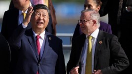 中国の中産階級はアボカドが大好き。オーストラリアに進出？