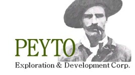 ペイトー探鉱開発株式会社2025年3月14日の月次配当を決定