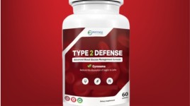 Type2Defense レビュー中：PhytAge Labs アドバンス血糖管理サポート