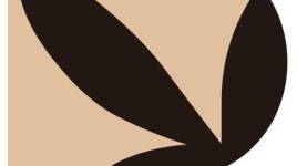 PLBYグループ、バイボルグ社との契約変更によりハニー・バーデット社を擁立