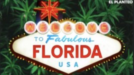 フロリダ州で大麻合法化が再び投票へ：擁護派は新たな修正イニシアチブを開始 - グリーンサムインダストリー ( OTC:GTBIF ) , AdvisorShares Trust AdvisorShares Pure US Cannabis ETF ( ARCA:MSOS )