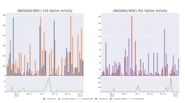 スマートマネーはWDCオプションに大きく賭けている - Western Digital ( NASDAQ:WDC )