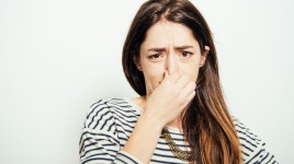 ミーム・コインが最高値を更新し、パパ・ジョンズの評価額と同額になったため、おならコインは笑いから利益へ - Emeren Group ( NYSE:SOL )