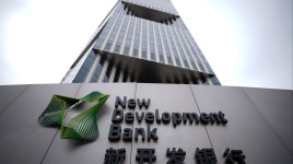 中国、2024年のパンダ債発行額が過去最高に、アナリストは2025年に強気