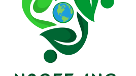 N2OFFとSolterra、アルバニアにおける太陽光発電開発のパイオニアとして提携