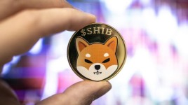 柴犬の燃焼率2,133％の急上昇、そして10％の値上げ：何が起きているのか？