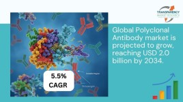 ポリクローナル抗体市場は2034年までに20億ドルに達する見込み、研究・治療分野での需要増加が牽引 - Transparency Market Research Inc.のレポート