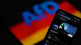 テックから政治へ：イーロン・マスクはいかにして世界中の極右に力を与えているか - Tesla ( NASDAQ:TSLA )