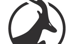 アンテロープ・エンタープライズ、1株につき40株の株式併合を発表