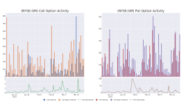 市場のクジラとゼネラル・モーターズ・オプションへの最近の賭け - ゼネラル・モーターズ ( NYSE:GM )
