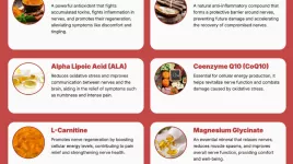 神経の自由最新の消費者レポート：新たな健康研究について