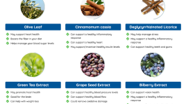 ニューロサージニューロサージに関する最新の顧客研究について説明する