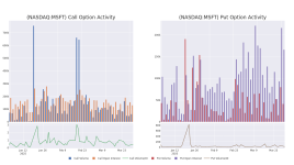 クジラはマイクロソフトに何を賭けているのか - マイクロソフト ( NASDAQ:MSFT )
