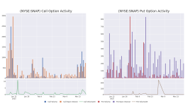 スナップのオプション活動を読み解く：その全体像とは？- スナップ ( NYSE:SNAP )