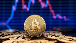 マクロ専門家ラウル・パル氏ビットコインは大幅上昇の兆し