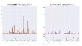 エンフェーズ・エナジーの最新オプション取引動向を解明 - エンフェーズ・エナジー ( NASDAQ:ENPH )