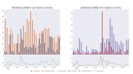クラウドストライク・ホールディングスのオプション活動を読み解く：その全体像とは？- クラウドストライク・ホールディングス ( NASDAQ:CRWD )
